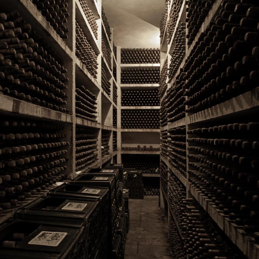 Palace Hotel Do Bussaco Luso  Exterior photo Wine cellar